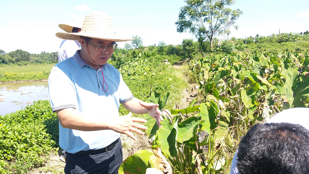 28圈官网-不凡成绩非凡,相信品牌的实力