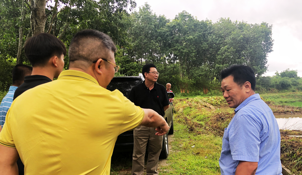 28圈官网-不凡成绩非凡,相信品牌的实力