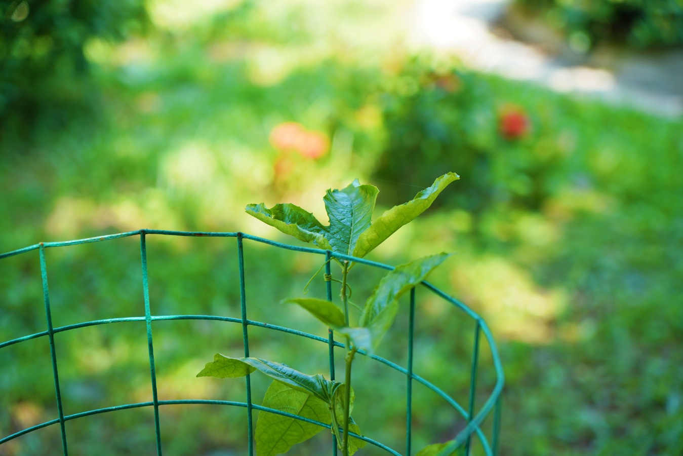 28圈官网-不凡成绩非凡,相信品牌的实力