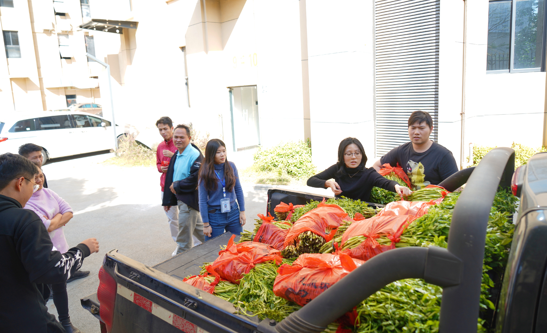 28圈官网-不凡成绩非凡,相信品牌的实力