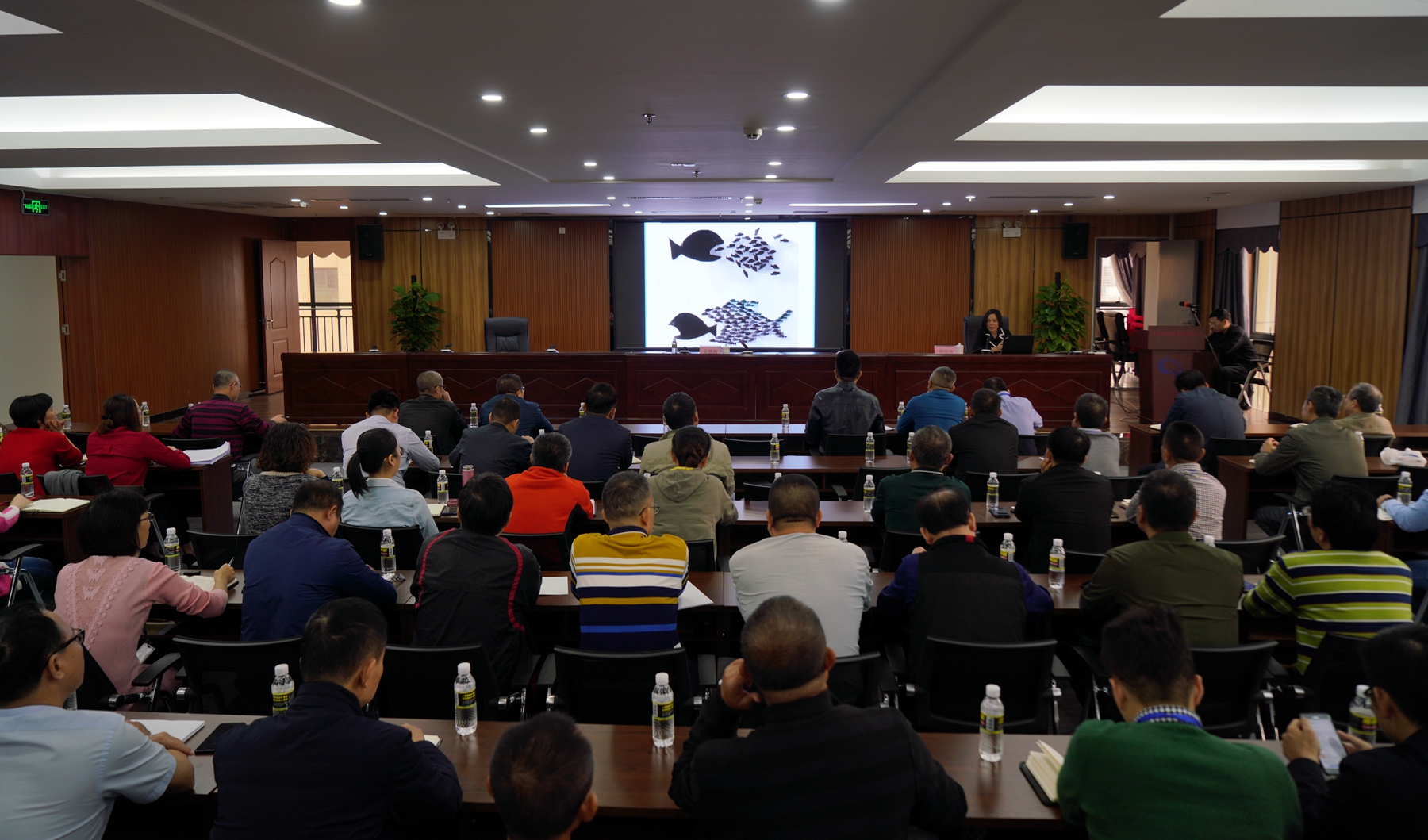 28圈官网-不凡成绩非凡,相信品牌的实力