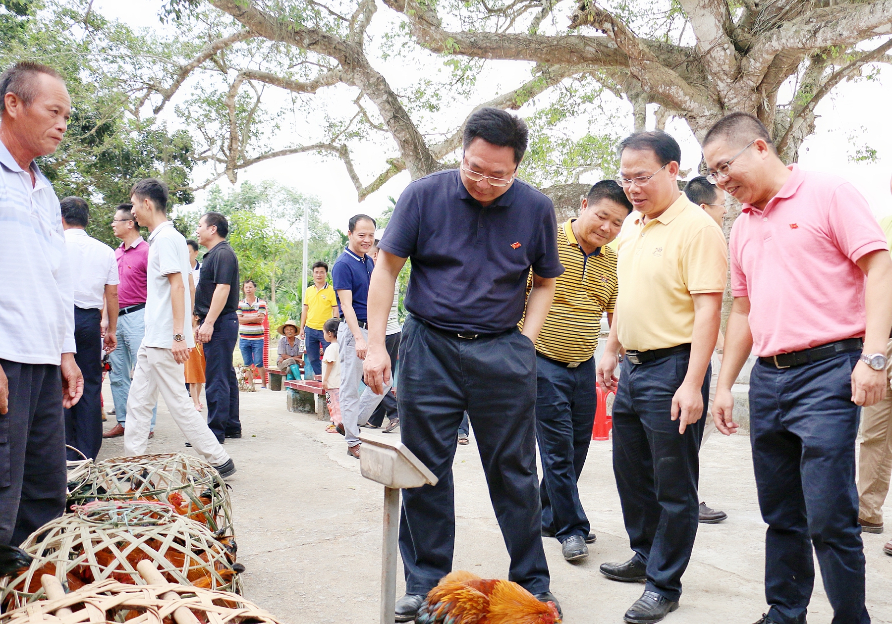 28圈官网-不凡成绩非凡,相信品牌的实力