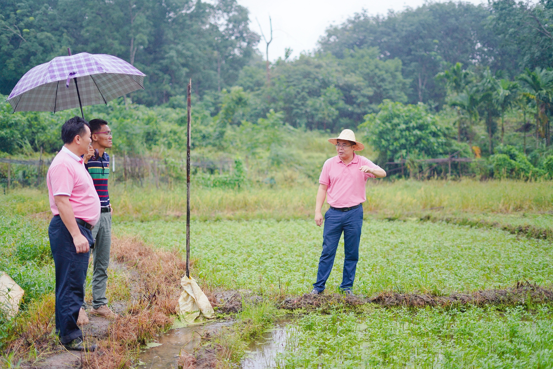 28圈官网-不凡成绩非凡,相信品牌的实力