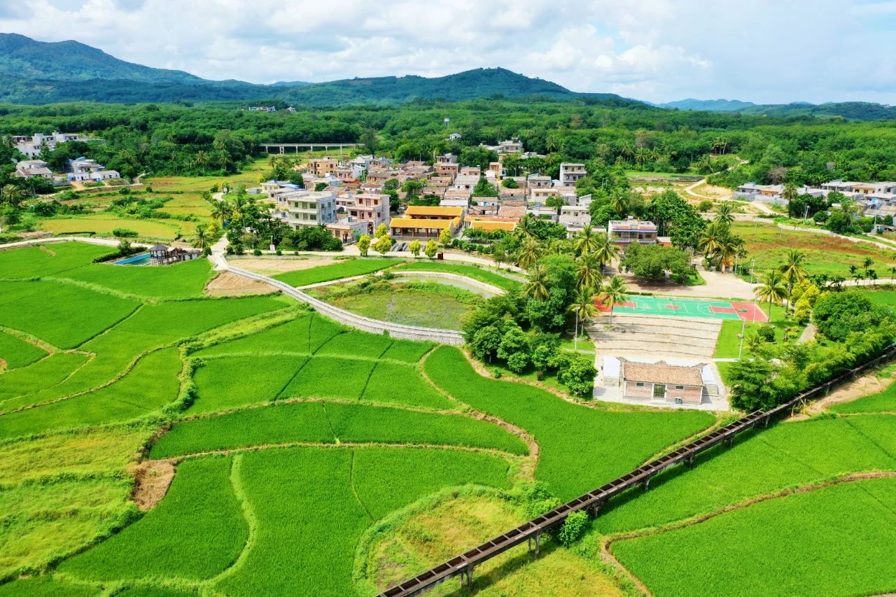 28圈官网-不凡成绩非凡,相信品牌的实力