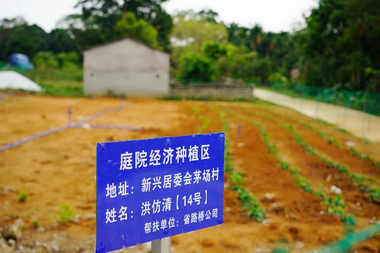 28圈官网-不凡成绩非凡,相信品牌的实力