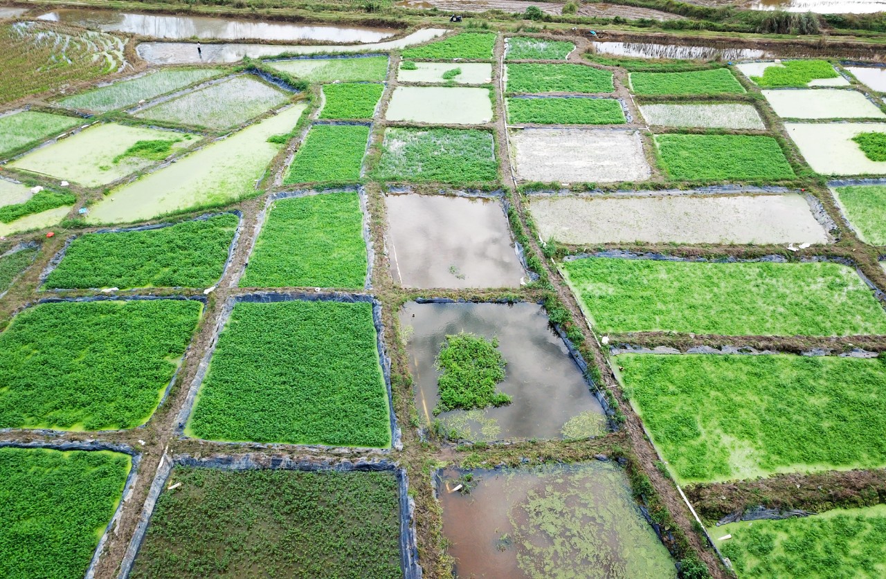 28圈官网-不凡成绩非凡,相信品牌的实力